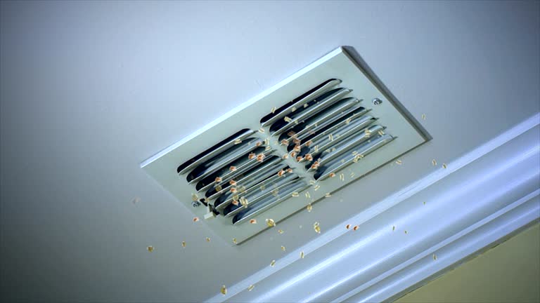 Best Commercial Air Duct Cleaning  in Clifton Forge, VA