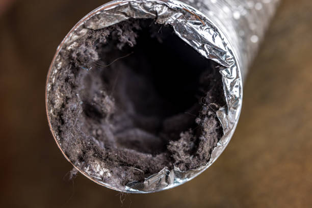 Best Local Air Duct Cleaning Services  in Clifton Forge, VA