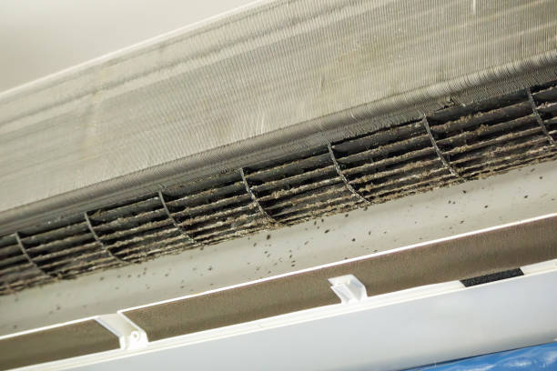 Best Air Duct Cleaning Near Me  in Clifton Forge, VA